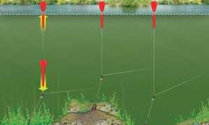 Маркерный поплавок: для чего нужен, как пользоваться, как собрать монтаж