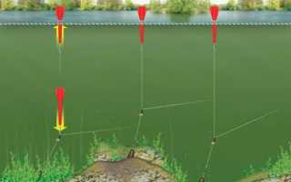 Маркерный поплавок: для чего нужен, как пользоваться, как собрать монтаж