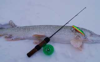 Выбор удочки для зимней рыбалки, лучшие удильники для подледного лова