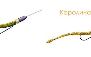 Каролинская оснастка для спиннинга: монтаж снасти, техника ловли