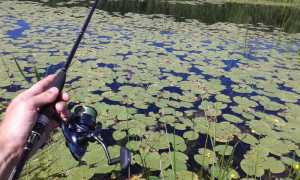 Ловля щуки на неогруженную резину: как выбрать силикон, монтаж, техника проводки