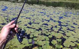 Ловля щуки на неогруженную резину: как выбрать силикон, монтаж, техника проводки