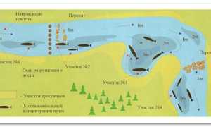 Рыбалка в ноябре на щуку на спиннинг: где искать, когда клюет, приманки