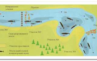 Рыбалка в ноябре на щуку на спиннинг: где искать, когда клюет, приманки