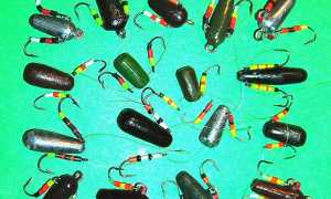 Зимняя ловля окуня на балду: техника, проводки, изготовление своими руками