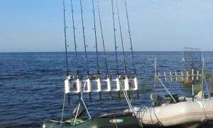 Ловля судака троллингом на воблеры: поиск, снасть и подача