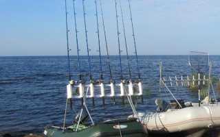 Ловля судака троллингом на воблеры: поиск, снасть и подача