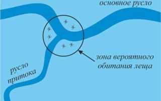 Ловля леща и подлещика зимой со льда днем и ночью: снасти, где искать, на что ловить