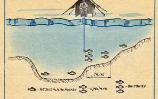 Ловля леща на поплавочную удочку зимой: оснастка, тактика рыбалки