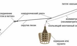 Асимметричная петля для фидера: как вязать, схема и объяснение