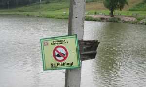 Рыбалка в Омске и Омской области: карта рыболовных мест, свежие видео отчеты