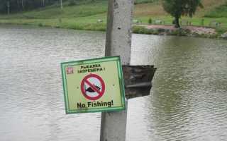 Рыбалка в Омске и Омской области: карта рыболовных мест, свежие видео отчеты