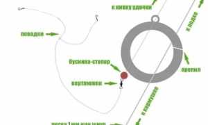 Ловля леща на кольцо с лодки летом и зимой со льда