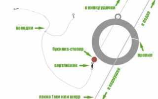 Ловля леща на кольцо с лодки летом и зимой со льда