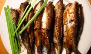 Домашние шпроты: простые и вкусные рецепты приготовления