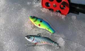 Ловля судака на ратлины зимой: техника ловли, лучшие модели ратлингов