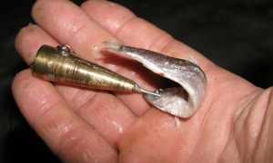 Как правильно ловить судака на тюльку зимой: оснастка, насадка, рыбалка