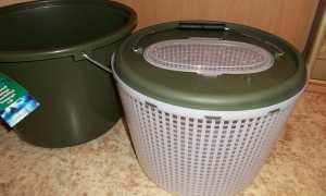 Как поймать осенью живца, сохранить и перевезти на место рыбалки