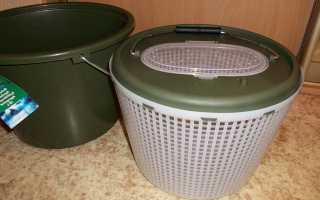 Как поймать осенью живца, сохранить и перевезти на место рыбалки