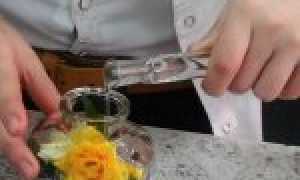 Бизнес-идея продажа цветов в глицерине: как сделать живые цветы в глицерине и начать их продавать