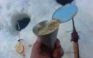 Зимняя прикормка на плотву: лучшие рецепты для разных условий