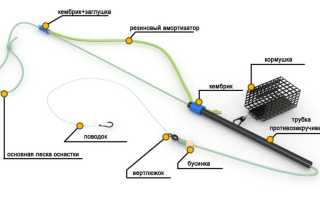 Ловля карпа на фидер для начинающих: оснастка, правильный монтаж, тактика