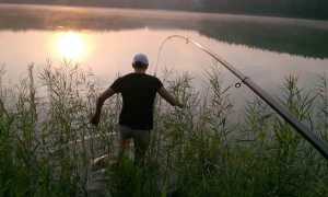 Рыбалка на карпа на поплавочную удочку летом, весной и осенью