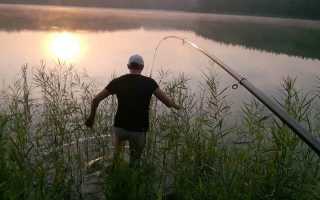 Рыбалка на карпа на поплавочную удочку летом, весной и осенью