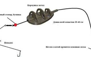 Фидерная ловля для начинающих — что нужно для фидера, как собрать и как ловить