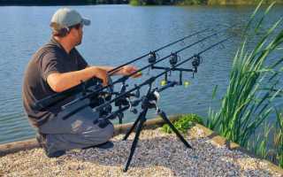 Обзор бюджетных карповых удилищ: ТОП-10 лучших карповиков эконом-класса