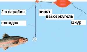 Где и как поймать форель