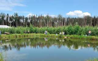 Рыбалка в Подмосковье дикарем и с проживанием — отчеты 2025 года