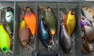 Лучшие кренки на голавля: уловистые бюджетные и дорогие модели crank в реальных условиях