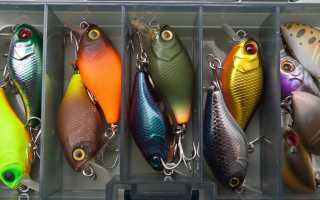 Лучшие кренки на голавля: уловистые бюджетные и дорогие модели crank в реальных условиях