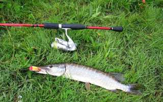 Поверхностные приманки на щуку: ловля на попперы, волкеры, стики, кроулеры и другие топвотеры