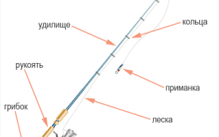 Как выбирать спиннинг для ловли хищной рыбы: советы для начинающих