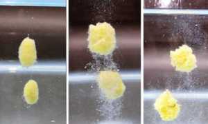 Самодельные кормушки для рыбалки летней и зимней: чертежи и фото