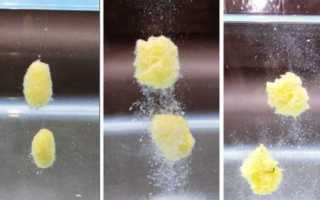 Самодельные кормушки для рыбалки летней и зимней: чертежи и фото