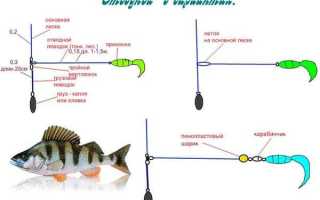 Ловля окуня на отводной поводок: монтаж, секреты проводки