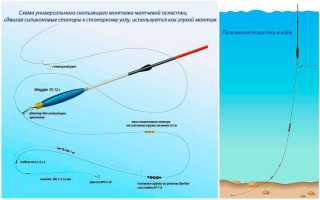 Матчевая удочка и снасть: как выбрать, оснастить и ловить