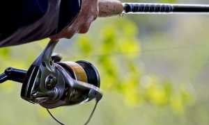 Как выбрать катушку для фидера: лучшие топовые и хорошие бюджетные