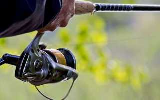 Как выбрать катушку для фидера: лучшие топовые и хорошие бюджетные