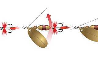 «Правильные» блесны на окуня: 10 лучших вертушек и колебалок, ловля летом и зимой