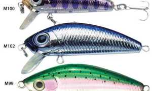 На что ловить голавля летом — лучшие приманки, насадки, наживки в июне, июле, августе