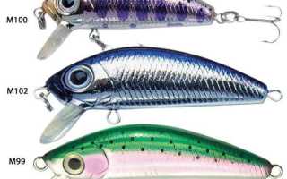 На что ловить голавля летом — лучшие приманки, насадки, наживки в июне, июле, августе