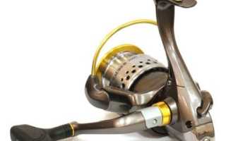 Как выбрать безынерционную катушку для спиннинга, фидера и поплавочной удочки