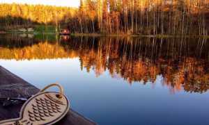 Лучшие места для рыбалки в Карелии 2025 дикарем — практический опыт с фото и советами