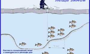 Лучшая прикормка для леща зимой для приготовления в домашних условиях и покупная