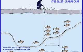 Лучшая прикормка для леща зимой для приготовления в домашних условиях и покупная