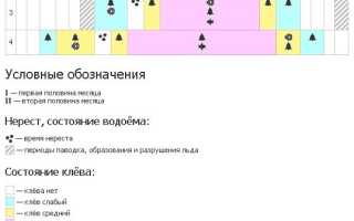 Места стоянки и повадки сома осенью, особенности ловли усатого и всеядного